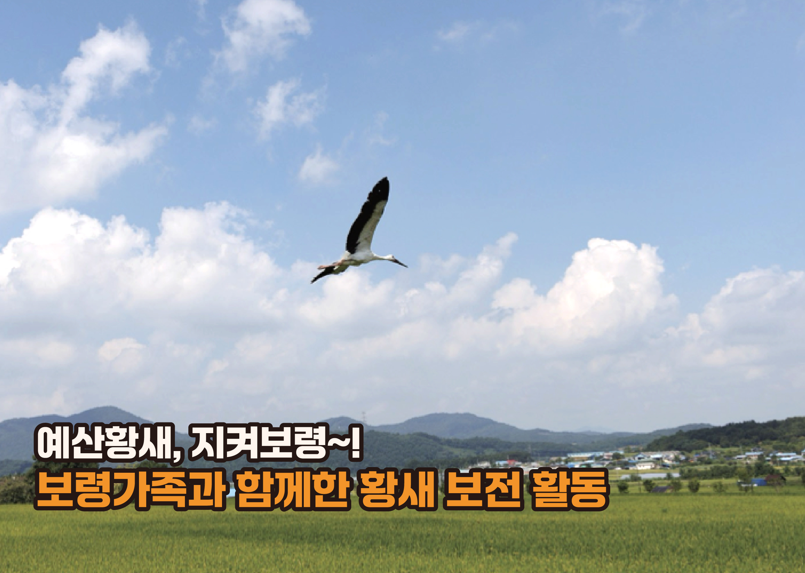 예산황새