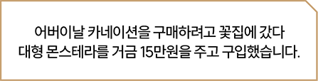 이미지 1