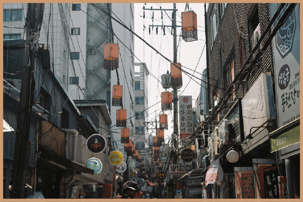 배세나