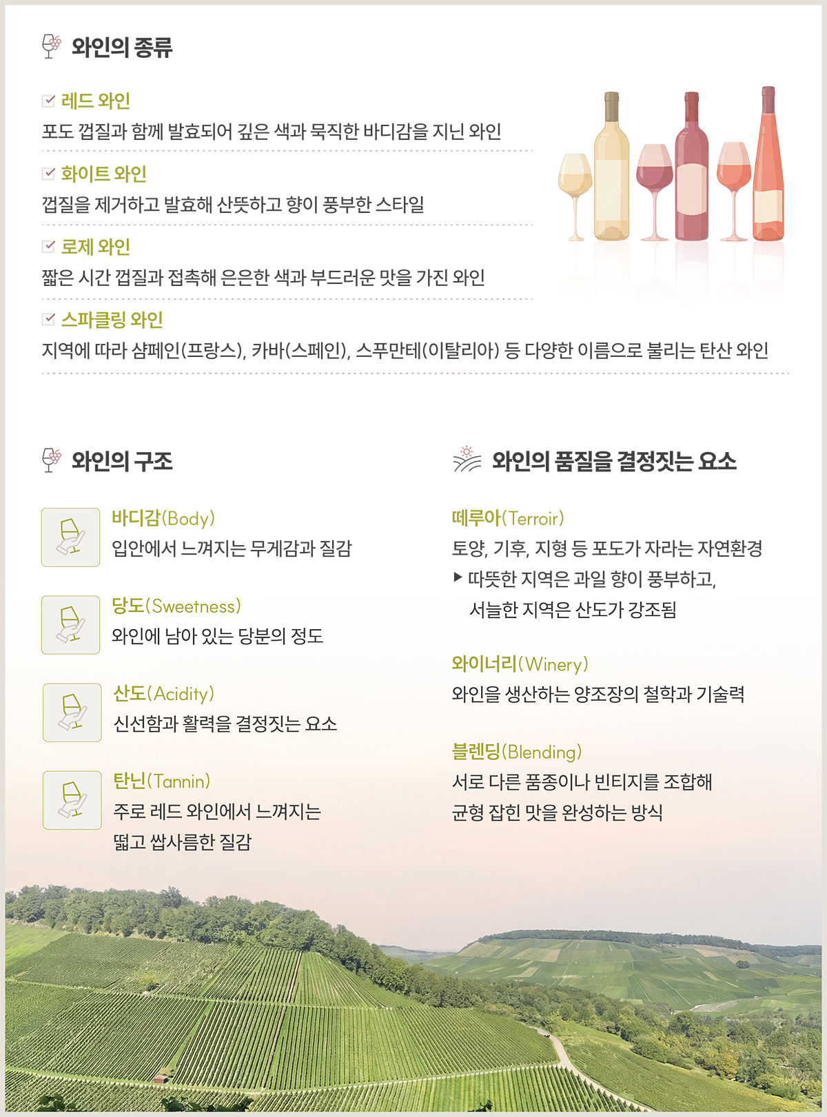 와인의 종류
