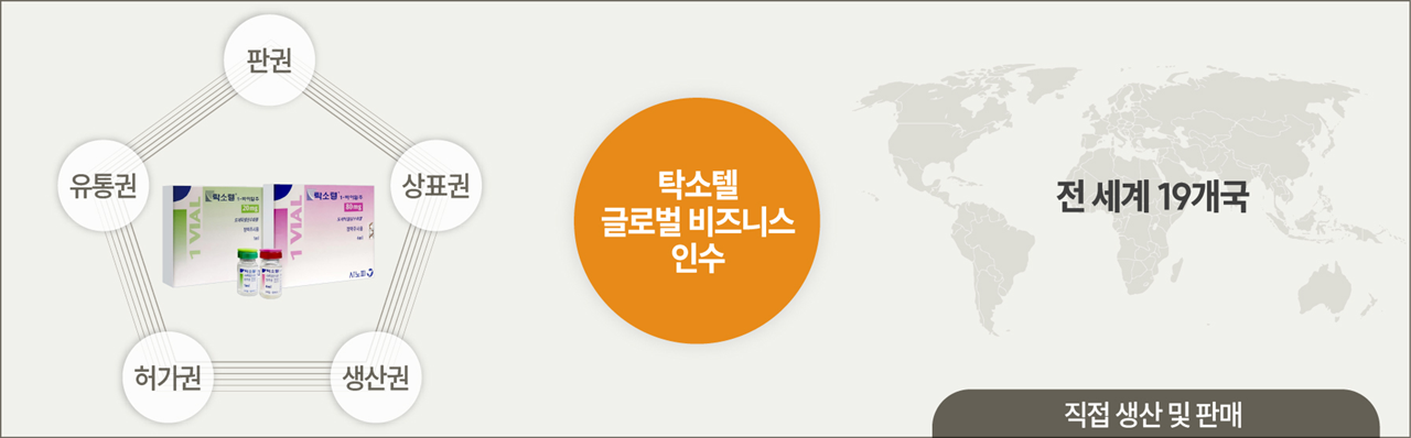 한눈에 보는 보령 '탁소텔' 글로벌 비즈니스