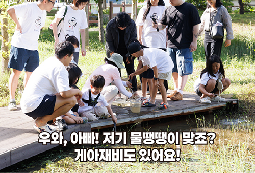 습지 생물 채집 1