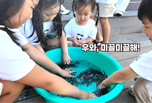 미꾸라지 방생 1