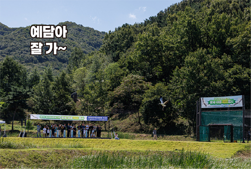 황새 방사식 현장 4
