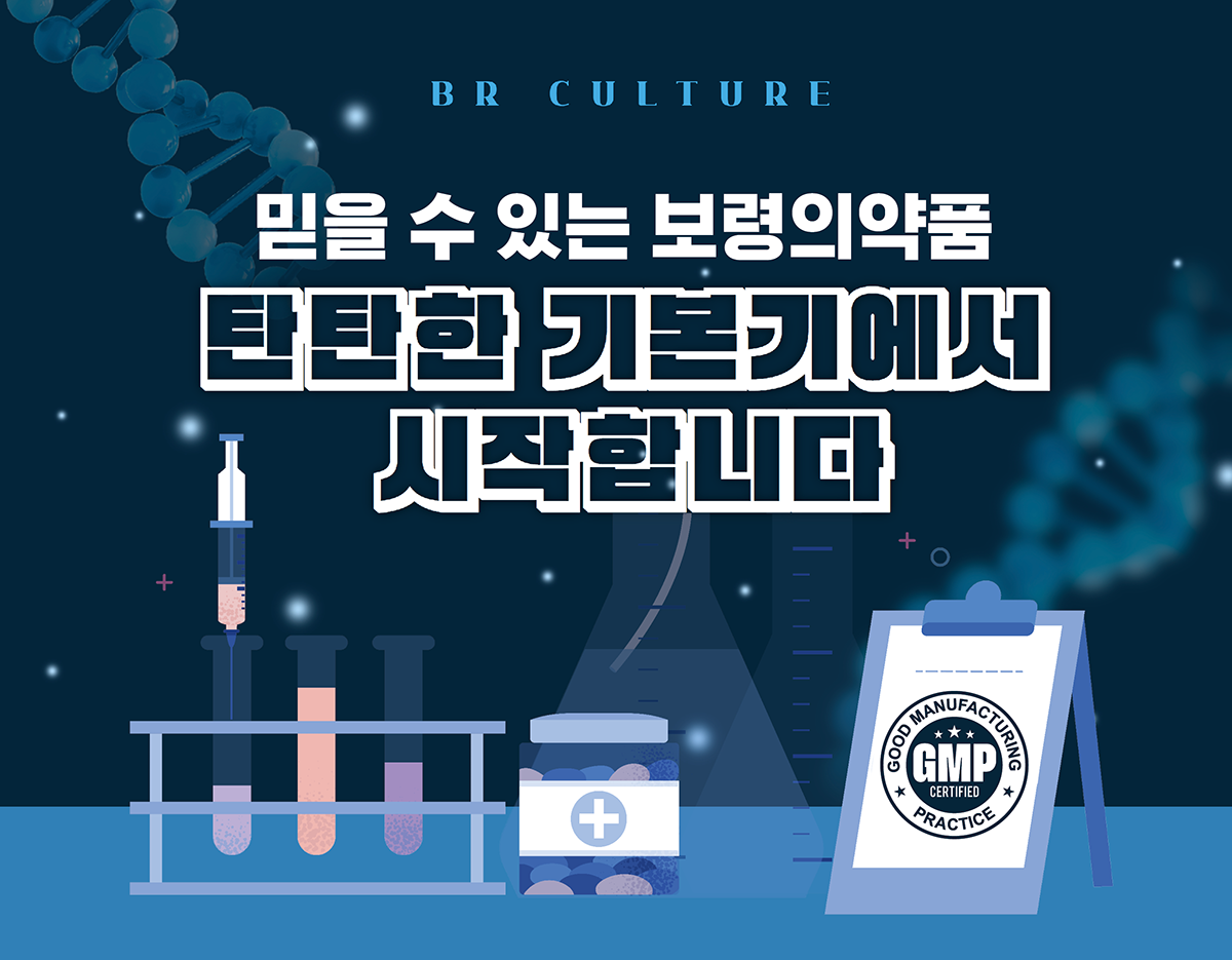 보령culture