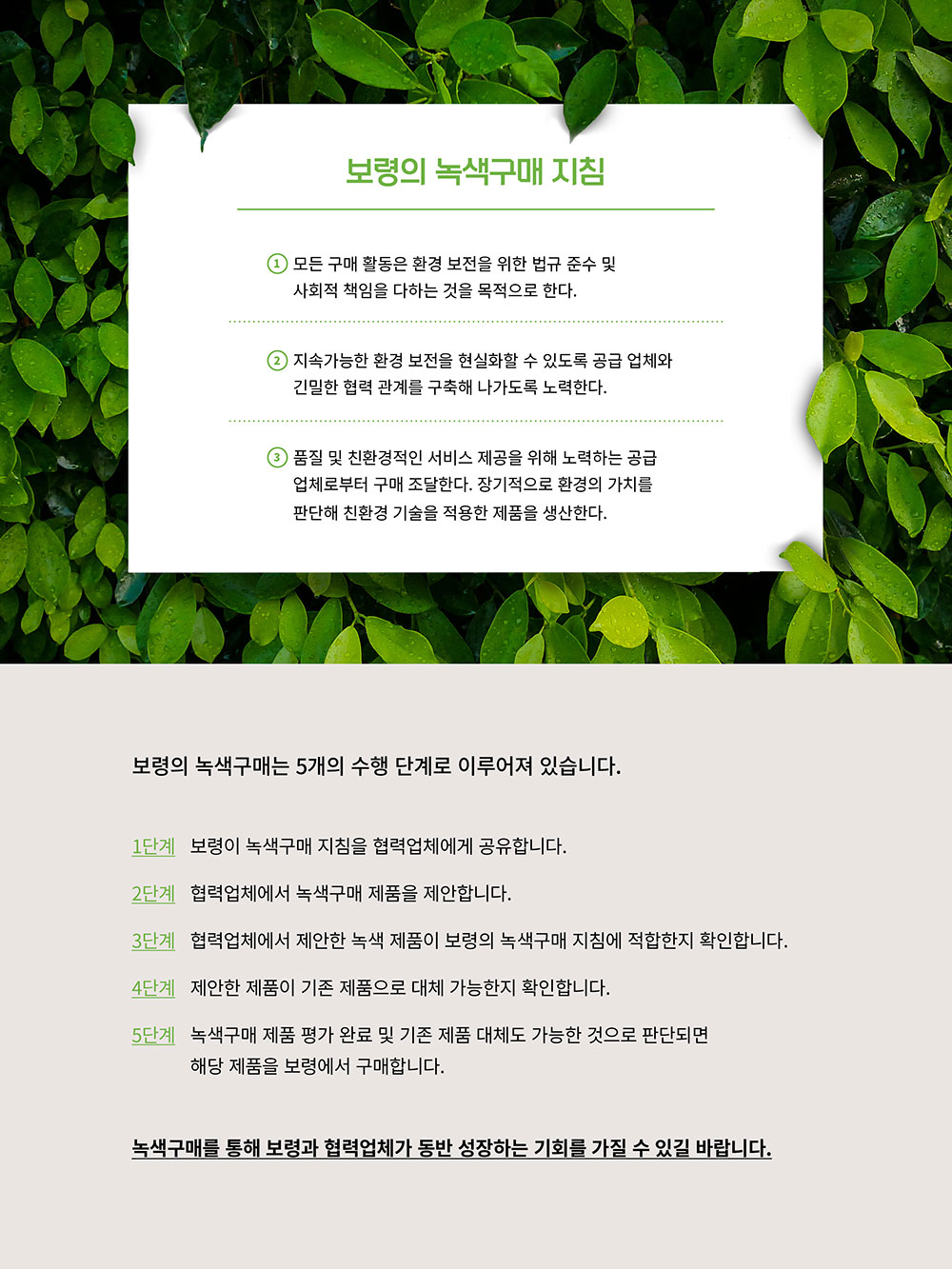 보령 나우 이미지3